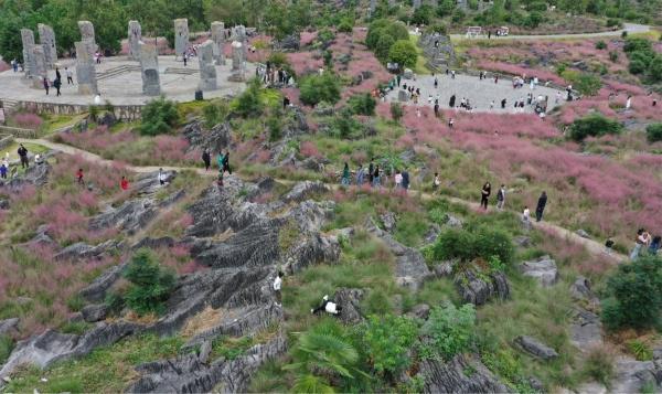 国庆假期酉阳各大景区接待游客总数达168.02万人次(图1) 酉阳桃花源灯会_酉阳旅游景点_酉阳叠石花谷粉黛乱子草