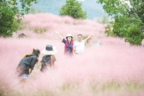 酉阳旅游景点_探秘土家族秘境_酉阳旅游景点大全