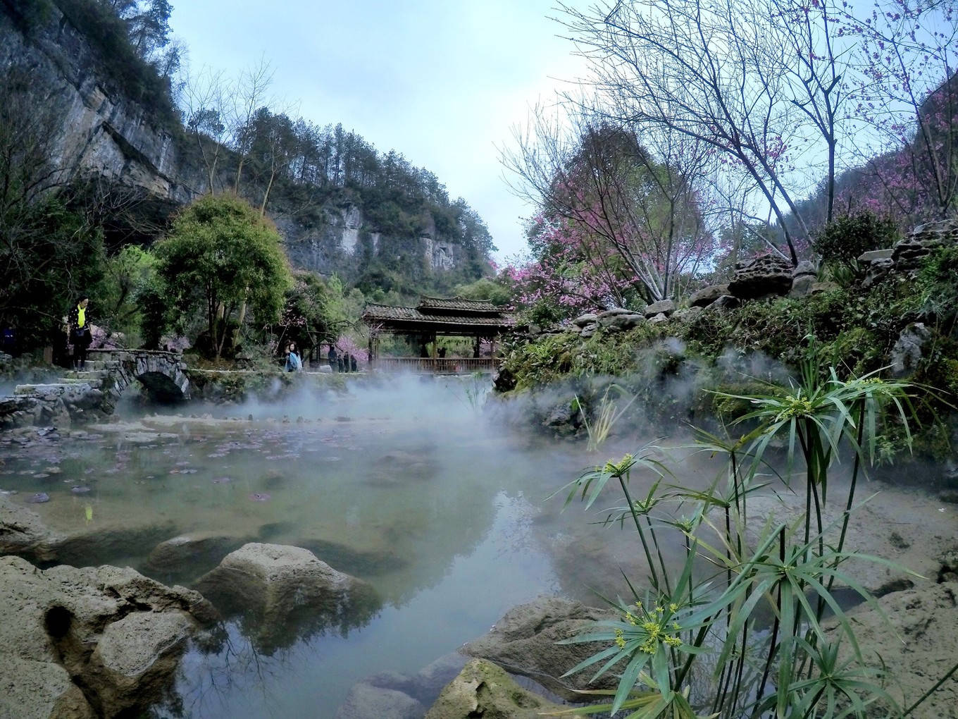 酉阳桃花源国家森林公园_酉阳旅游景点_酉阳桃花源国家AAAAA级旅游景区
