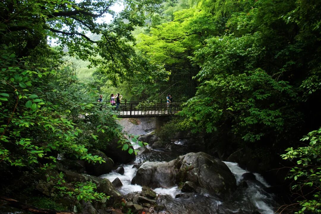 长沙周边避暑景区_浏阳大围山国家森林公园_大围山景区