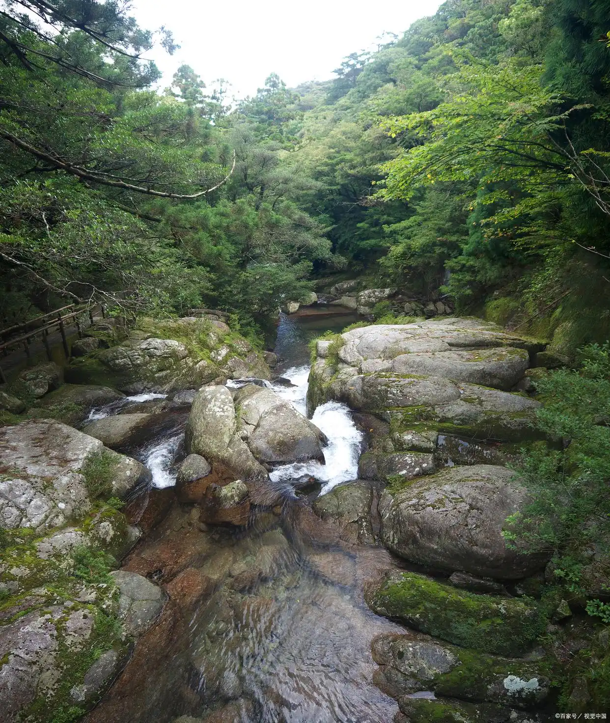 大围山景区_大围山国家森林公园门票价格_大围山国家森林公园旅游攻略