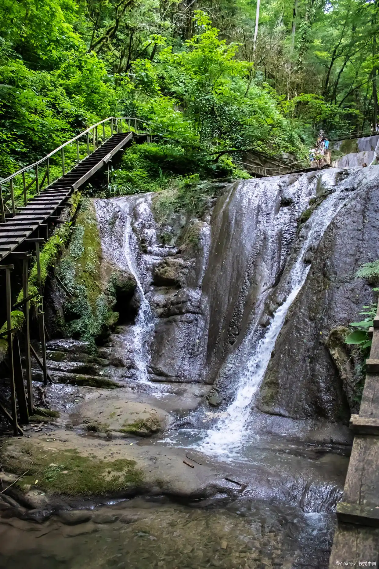 大围山国家森林公园旅游攻略_大围山景区_大围山国家森林公园门票价格