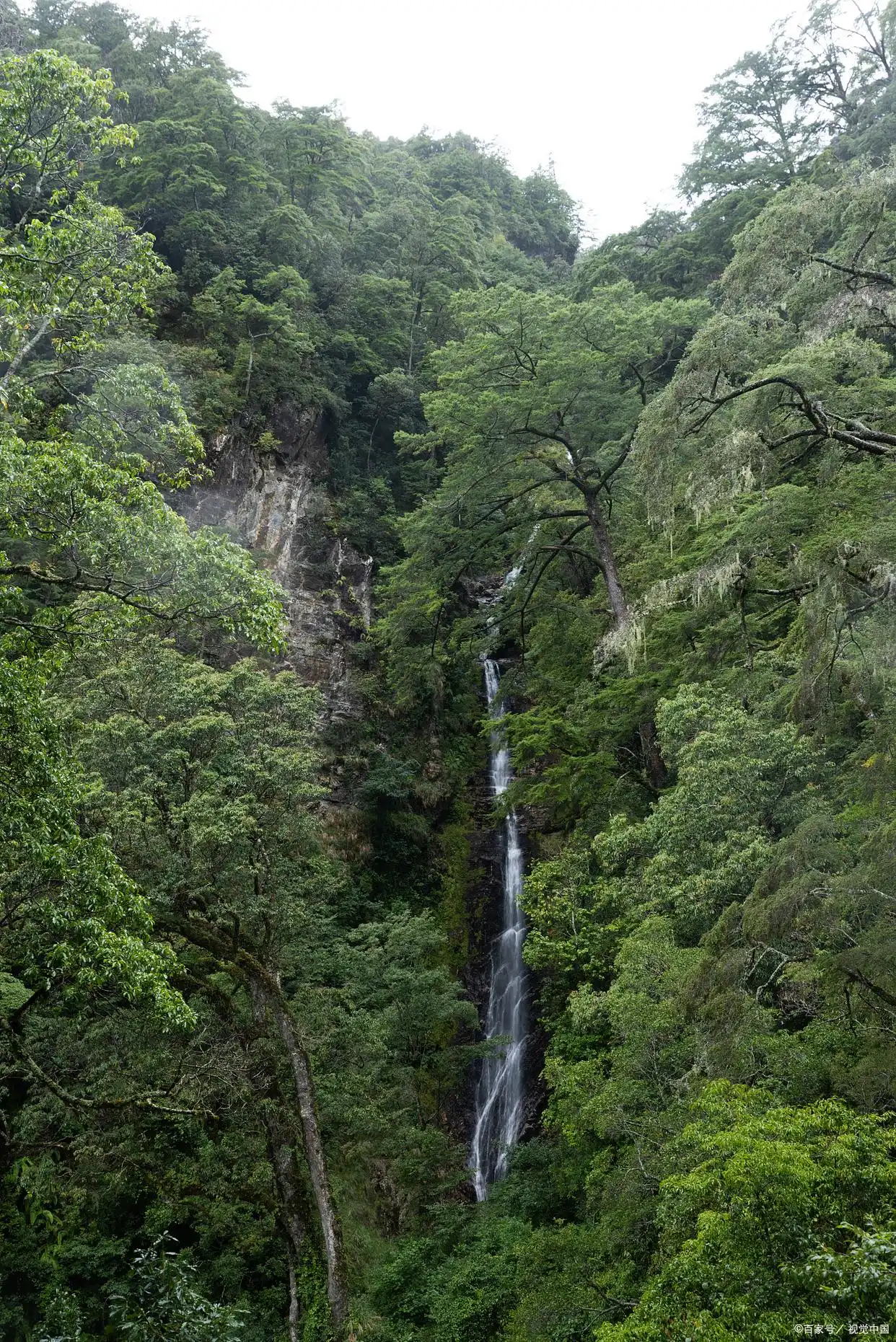 大围山景区_大围山国家森林公园旅游攻略_大围山国家森林公园门票价格
