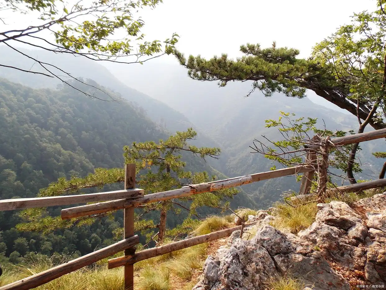大围山景区_大围山国家森林公园门票价格_大围山国家森林公园旅游攻略