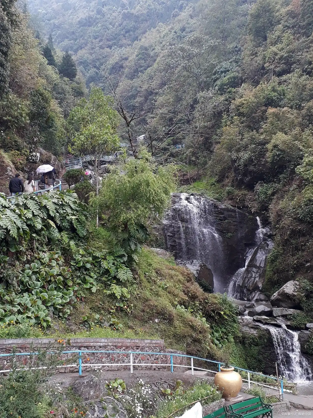 大围山国家森林公园门票价格_大围山景区_大围山国家森林公园旅游攻略