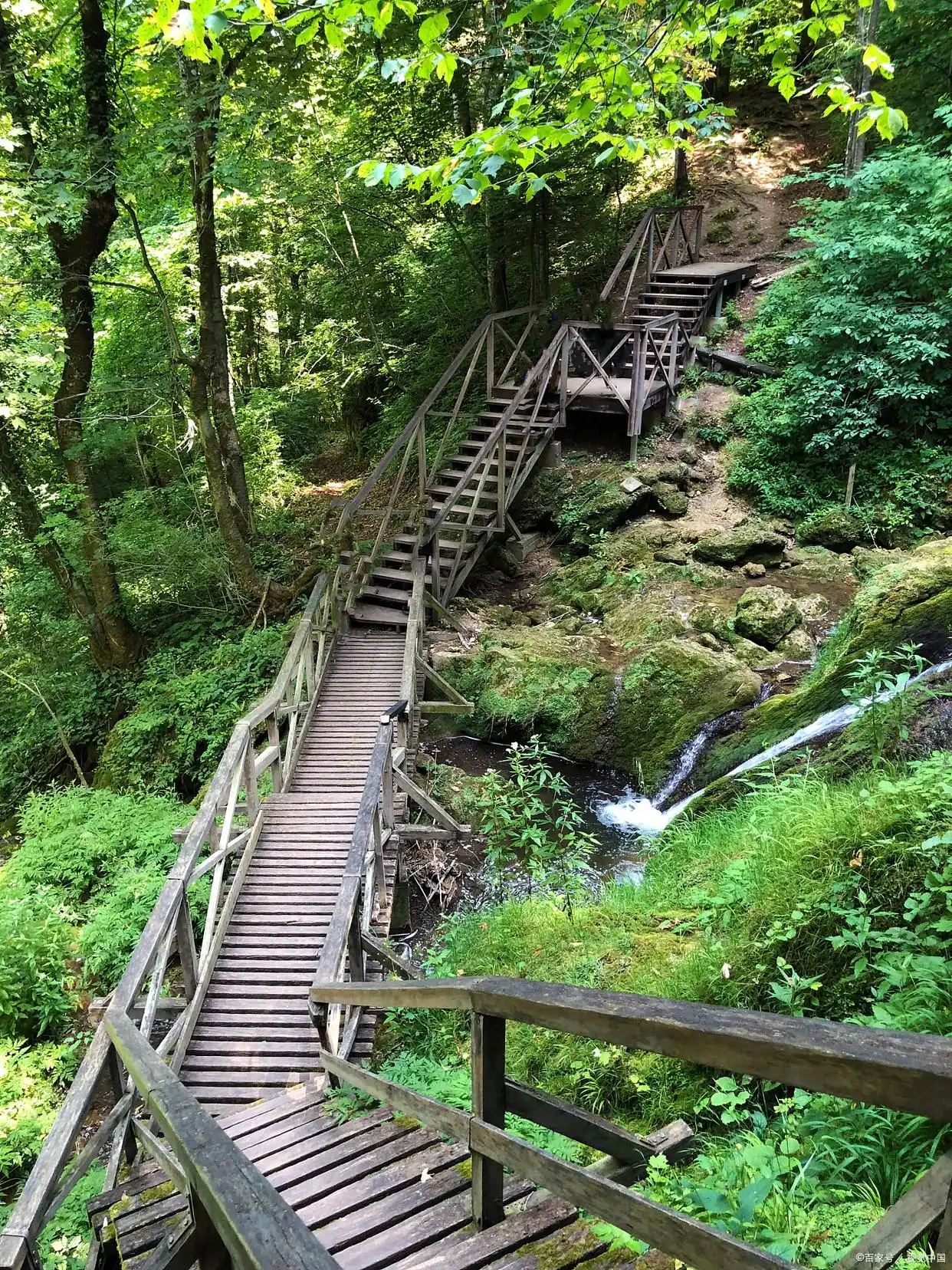 大围山景区_大围山国家森林公园门票价格_大围山国家森林公园旅游攻略