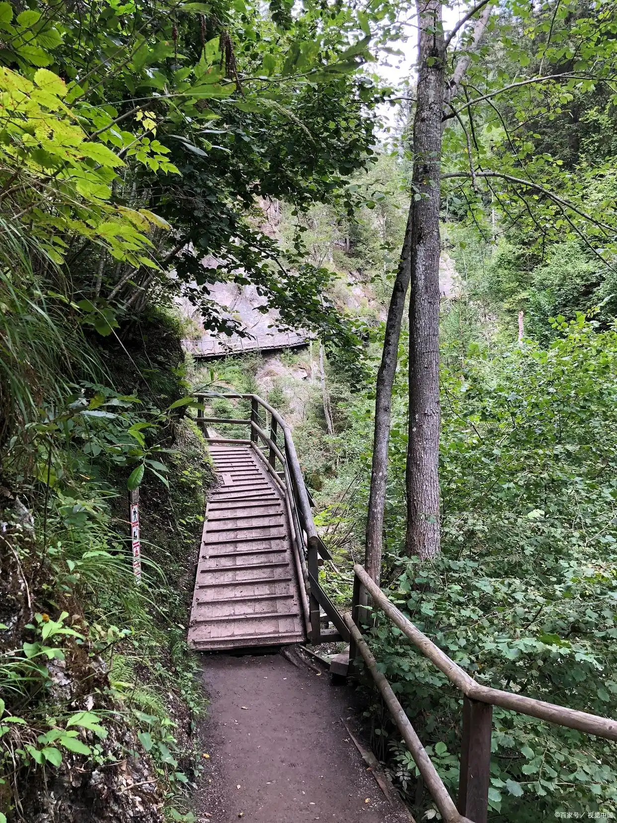 大围山国家森林公园旅游攻略(图1) 湖南省大围山国家森林公园景点推荐_大围山国家森林公园旅游攻略_大围山景区