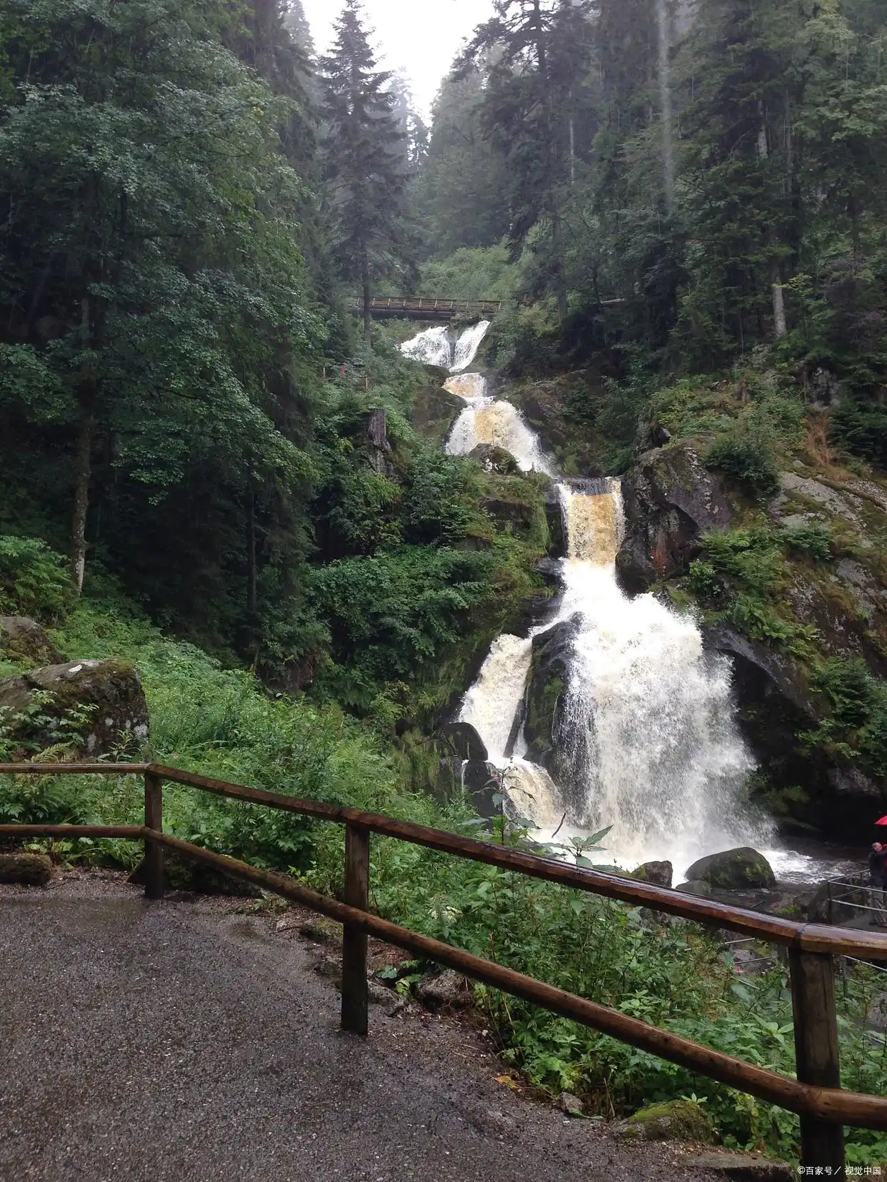 大围山国家森林公园旅游攻略(图4) 大围山国家森林公园旅游攻略_大围山景区_湖南省大围山国家森林公园景点推荐