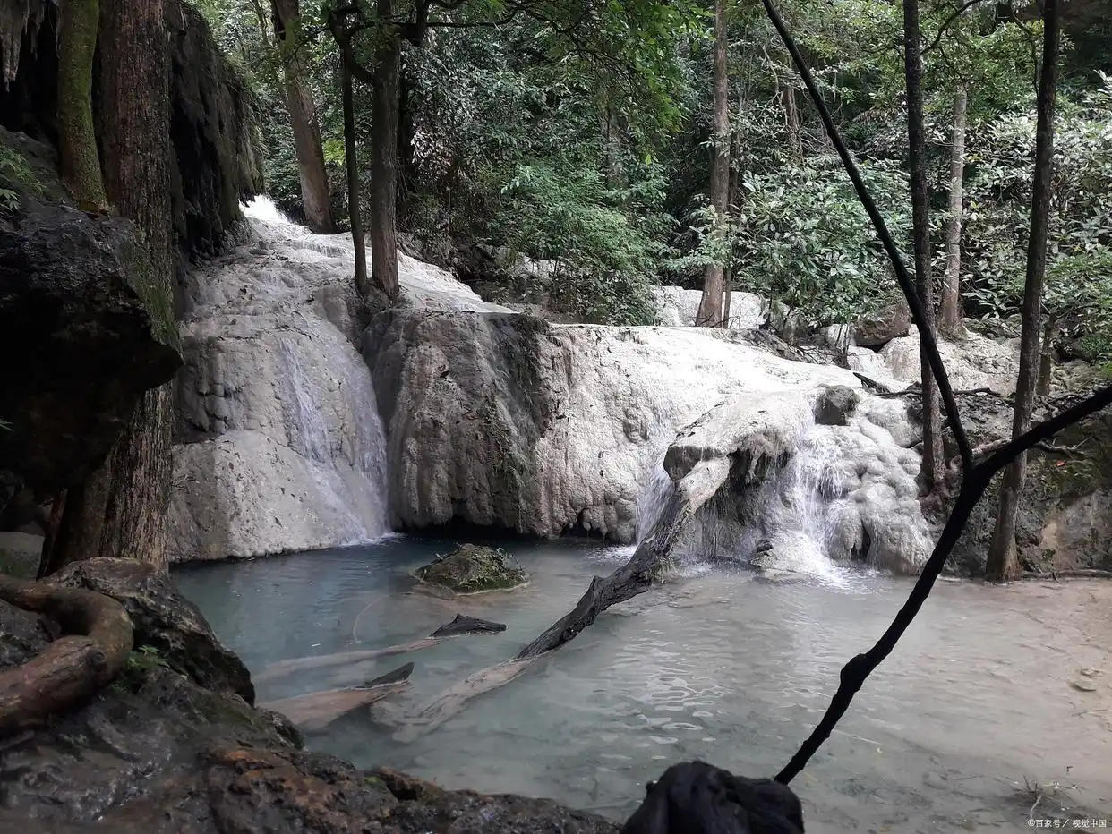 大围山国家森林公园旅游攻略(图7) 湖南省大围山国家森林公园景点推荐_大围山景区_大围山国家森林公园旅游攻略
