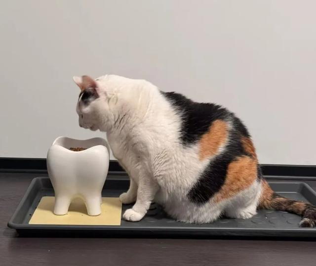 宜家弗拉塔购物车多功能改造_宜家拉斯克推车宿舍收纳方案_宜家购物流程