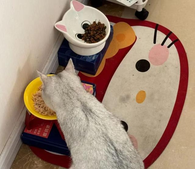 宜家弗拉塔购物车多功能改造_宜家购物流程_宜家拉斯克推车宿舍收纳方案