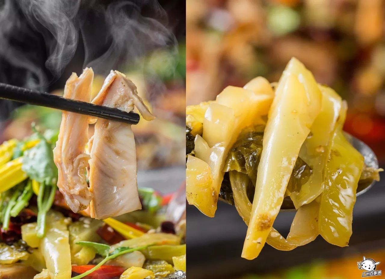 吃一送一!全城首创!江南西肥猫烤鱼店的老板疯了吧!(图12) 天河肥猫烤鱼_全城首创5款独特烤鱼_肥猫烤鱼