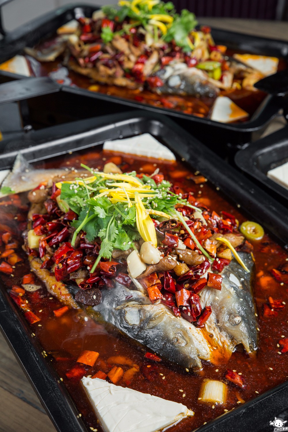 吃一送一!全城首创!江南西肥猫烤鱼店的老板疯了吧!(图14) 全城首创5款独特烤鱼_天河肥猫烤鱼_肥猫烤鱼