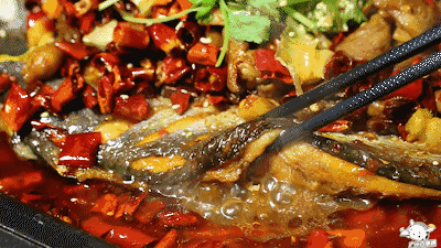 吃一送一!全城首创!江南西肥猫烤鱼店的老板疯了吧!(图20) 天河肥猫烤鱼_肥猫烤鱼_全城首创5款独特烤鱼