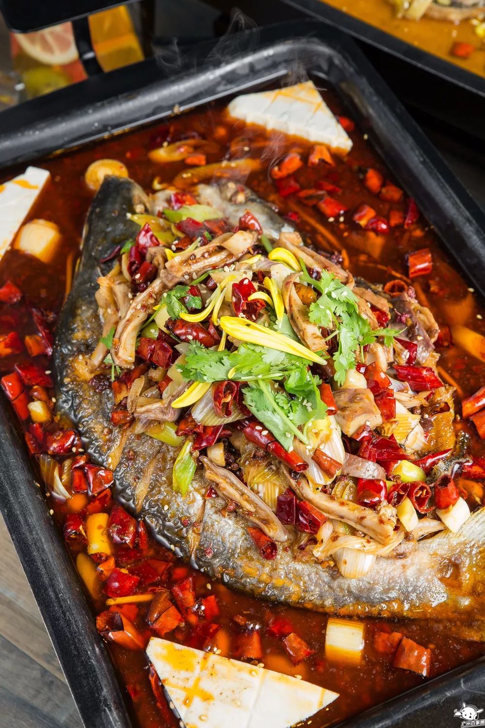 吃一送一!全城首创!江南西肥猫烤鱼店的老板疯了吧!(图22) 肥猫烤鱼_天河肥猫烤鱼_全城首创5款独特烤鱼