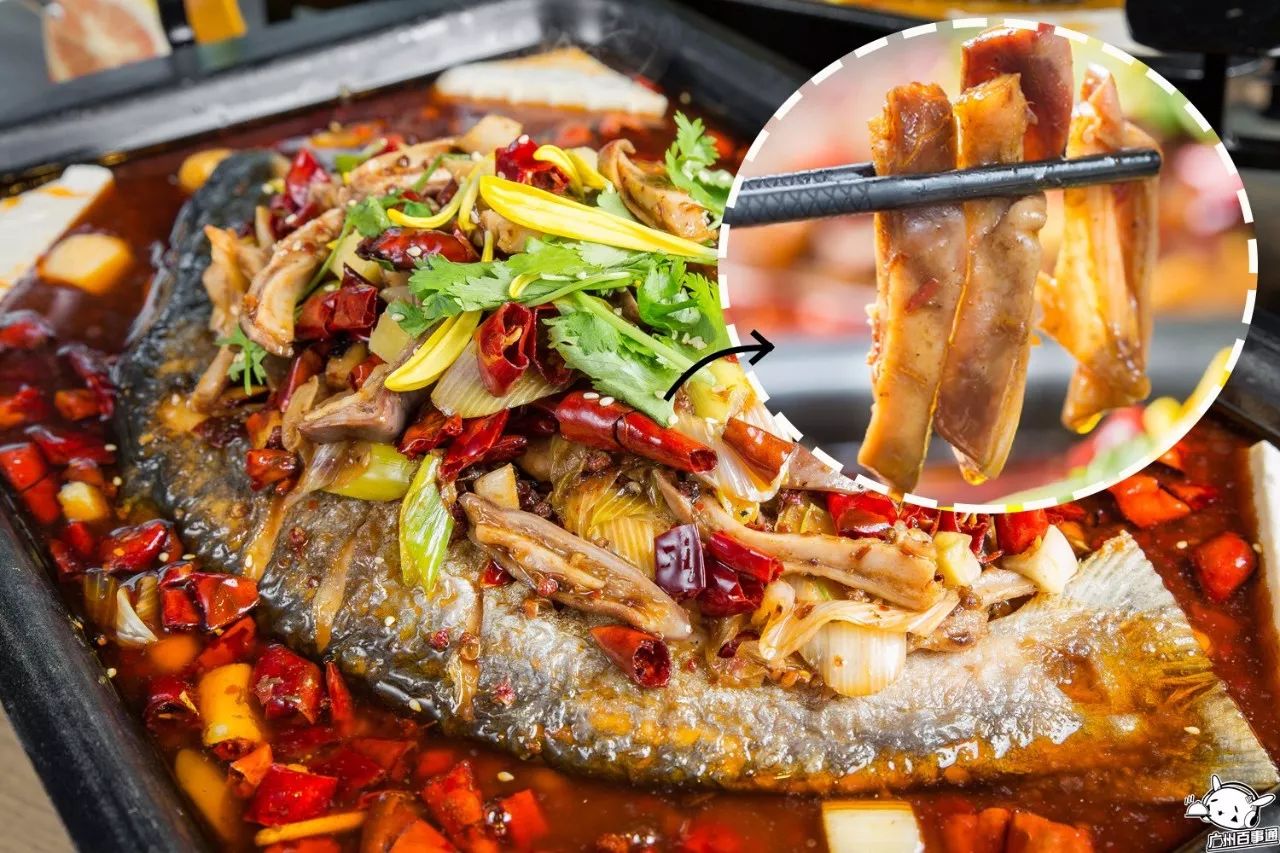 吃一送一!全城首创!江南西肥猫烤鱼店的老板疯了吧!(图24) 肥猫烤鱼_全城首创5款独特烤鱼_天河肥猫烤鱼