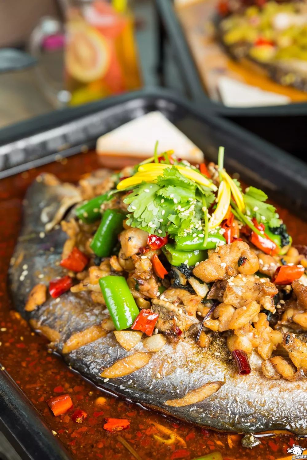 吃一送一!全城首创!江南西肥猫烤鱼店的老板疯了吧!(图25) 天河肥猫烤鱼_肥猫烤鱼_全城首创5款独特烤鱼