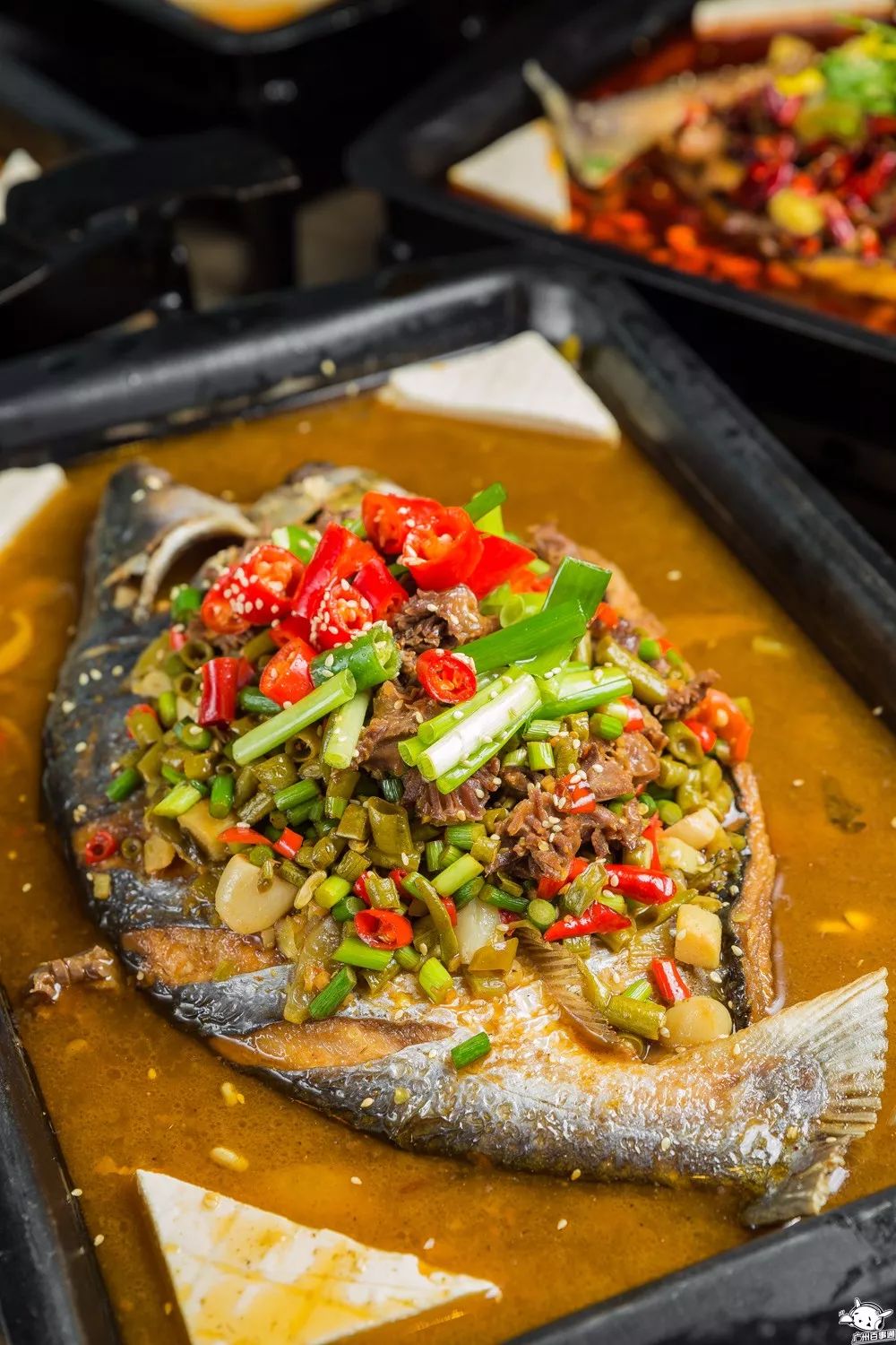 吃一送一!全城首创!江南西肥猫烤鱼店的老板疯了吧!(图29) 肥猫烤鱼_全城首创5款独特烤鱼_天河肥猫烤鱼