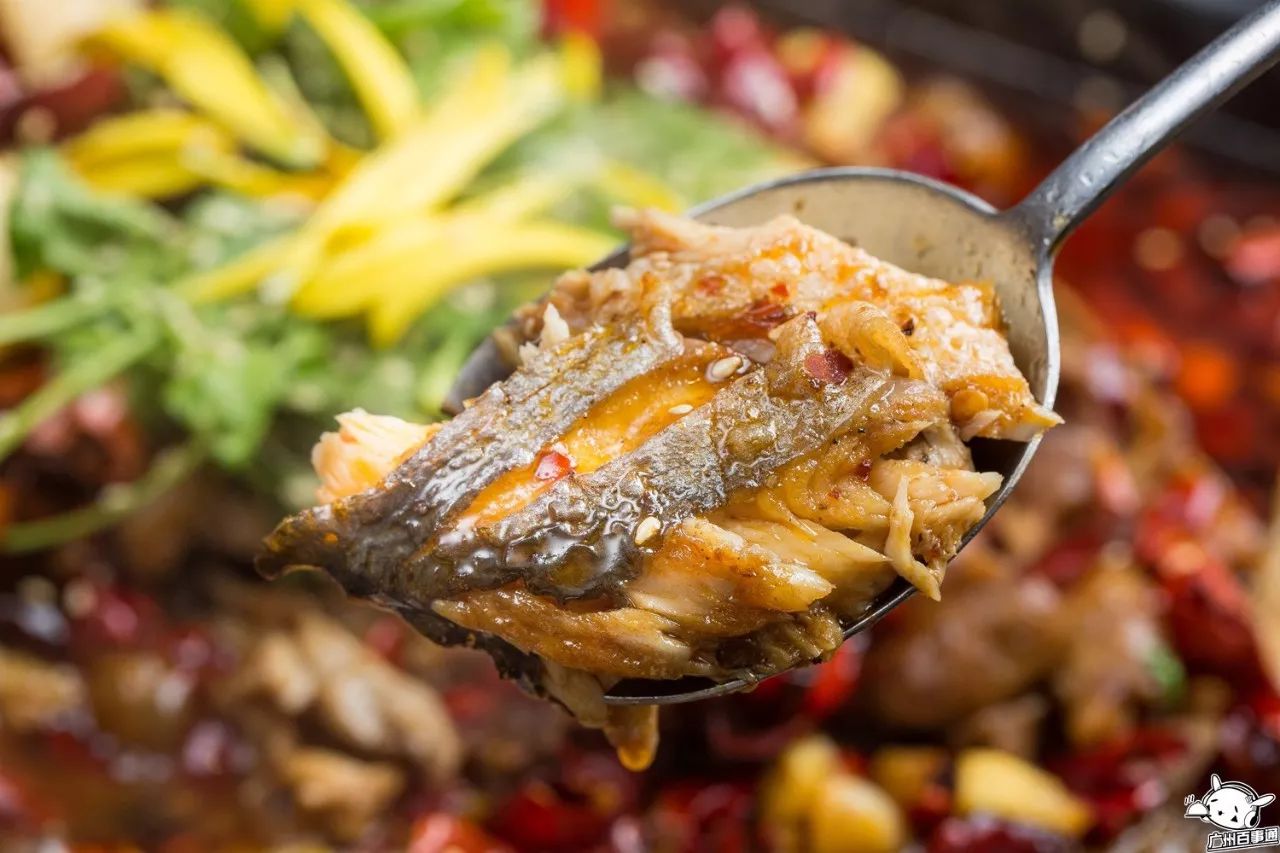 吃一送一!全城首创!江南西肥猫烤鱼店的老板疯了吧!(图31) 天河肥猫烤鱼_肥猫烤鱼_全城首创5款独特烤鱼