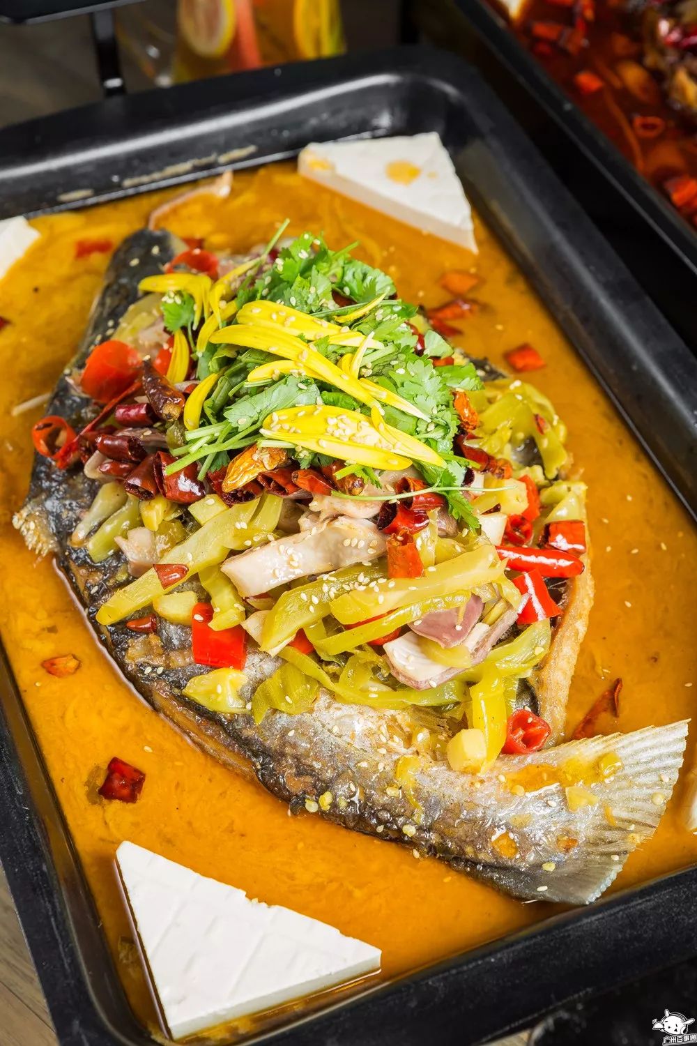 吃一送一!全城首创!江南西肥猫烤鱼店的老板疯了吧!(图9) 全城首创5款独特烤鱼_天河肥猫烤鱼_肥猫烤鱼