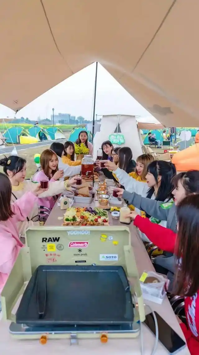 美人腿樱花林旅游攻略_苏州旅游路线_阳澄湖春季旅游线路