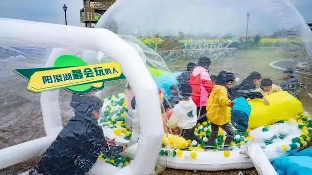 阳澄湖春季旅游线路_美人腿樱花林旅游攻略_苏州旅游路线