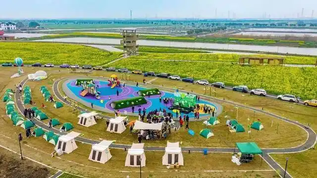 美人腿樱花林旅游攻略_苏州旅游路线_阳澄湖春季旅游线路