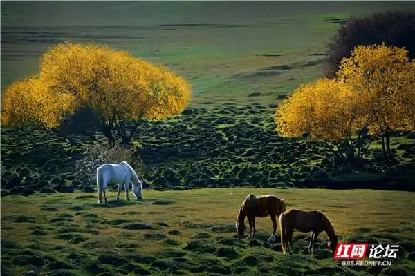 徐忠诚丨器材好就能出大片吗?不,对待风光摄影你还得有态度(图7) 风光摄影技巧_数码摄影论坛分析_摄影成功要素