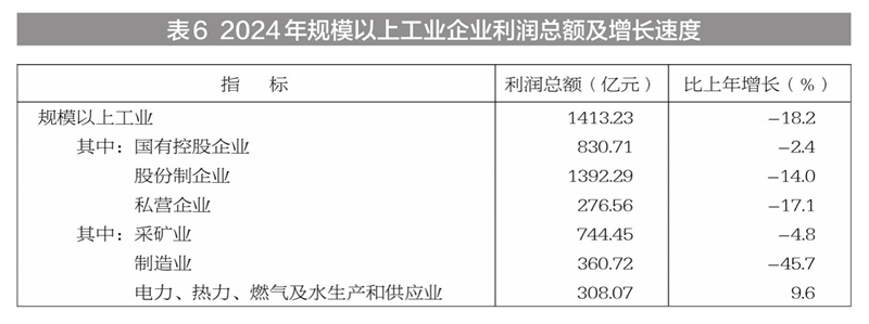 新疆维吾尔自治区2024年国民经济和社会发展统计公报(图15) 新疆地区生产总值2024年数据_新疆工资上调_2024年新疆国民经济和社会发展统计公报