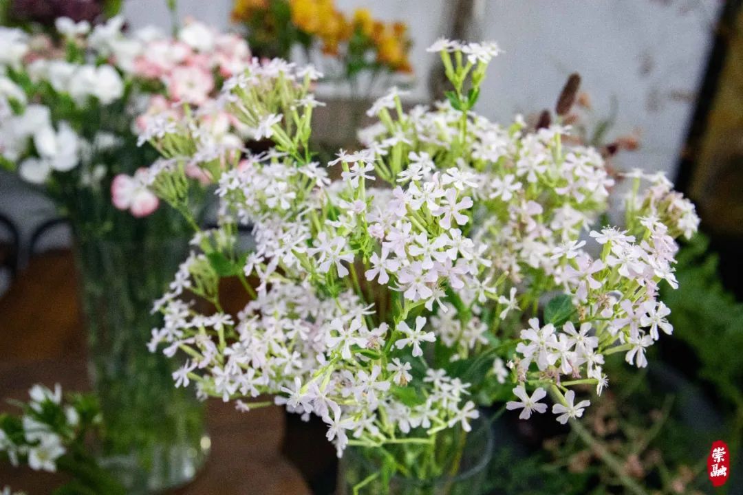 鳌山路上,“你的花店”与众不同(图5) 崇明花店故事_我在崇明开花店_花店 装修