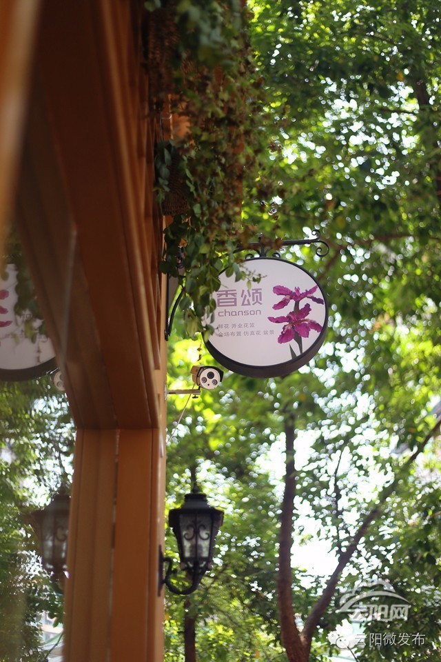 云阳居然有家这么高大上的花店,只有最浪漫的人才知道(图2) 法国装修风格花店_云阳香颂花店_花店 装修