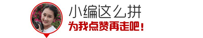 云阳居然有家这么高大上的花店,只有最浪漫的人才知道(图13) 云阳香颂花店_花店 装修_法国装修风格花店