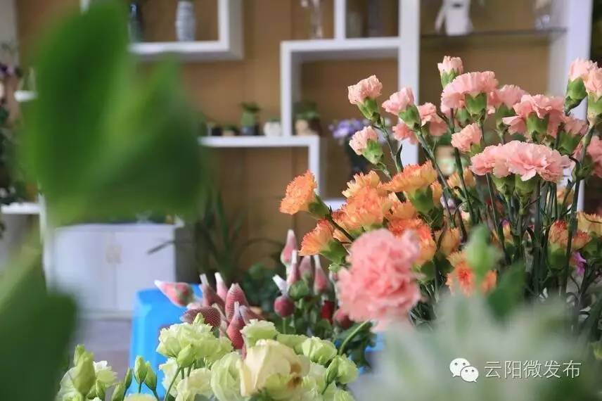 云阳居然有家这么高大上的花店,只有最浪漫的人才知道(图4) 法国装修风格花店_花店 装修_云阳香颂花店