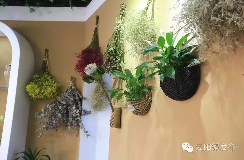 云阳居然有家这么高大上的花店,只有最浪漫的人才知道(图9) 花店 装修_云阳香颂花店_法国装修风格花店
