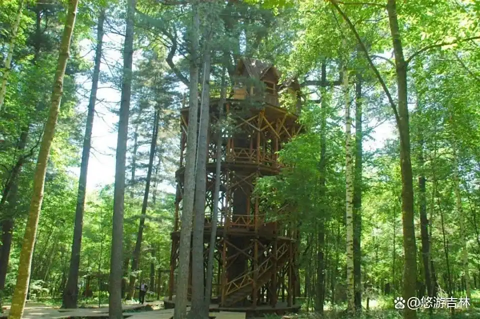 露水河长白山狩猎度假区攻略_乘着高铁游白山_长白山景区建筑