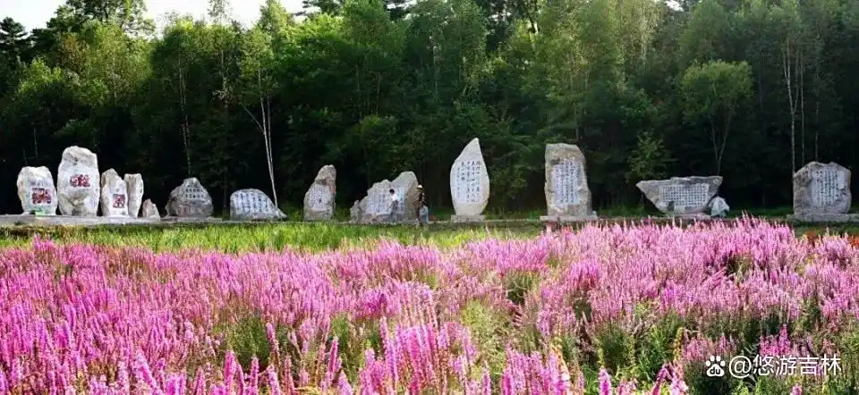 乘着高铁游白山_长白山景区建筑_露水河长白山狩猎度假区攻略