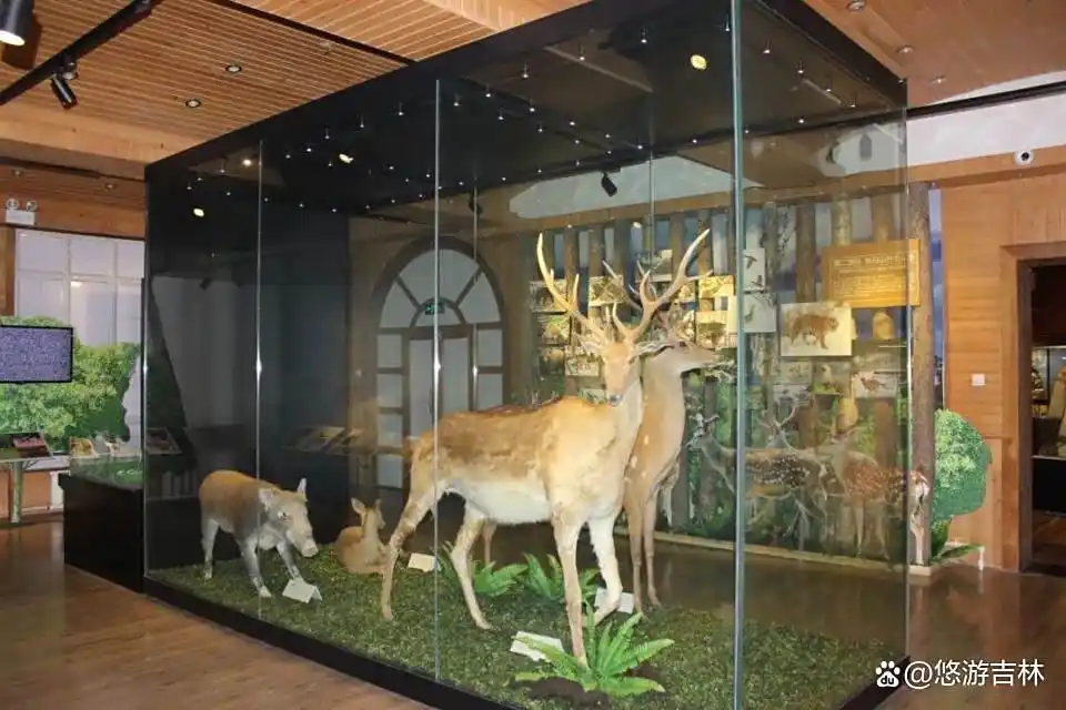 乘着高铁游白山_露水河长白山狩猎度假区攻略_长白山景区建筑