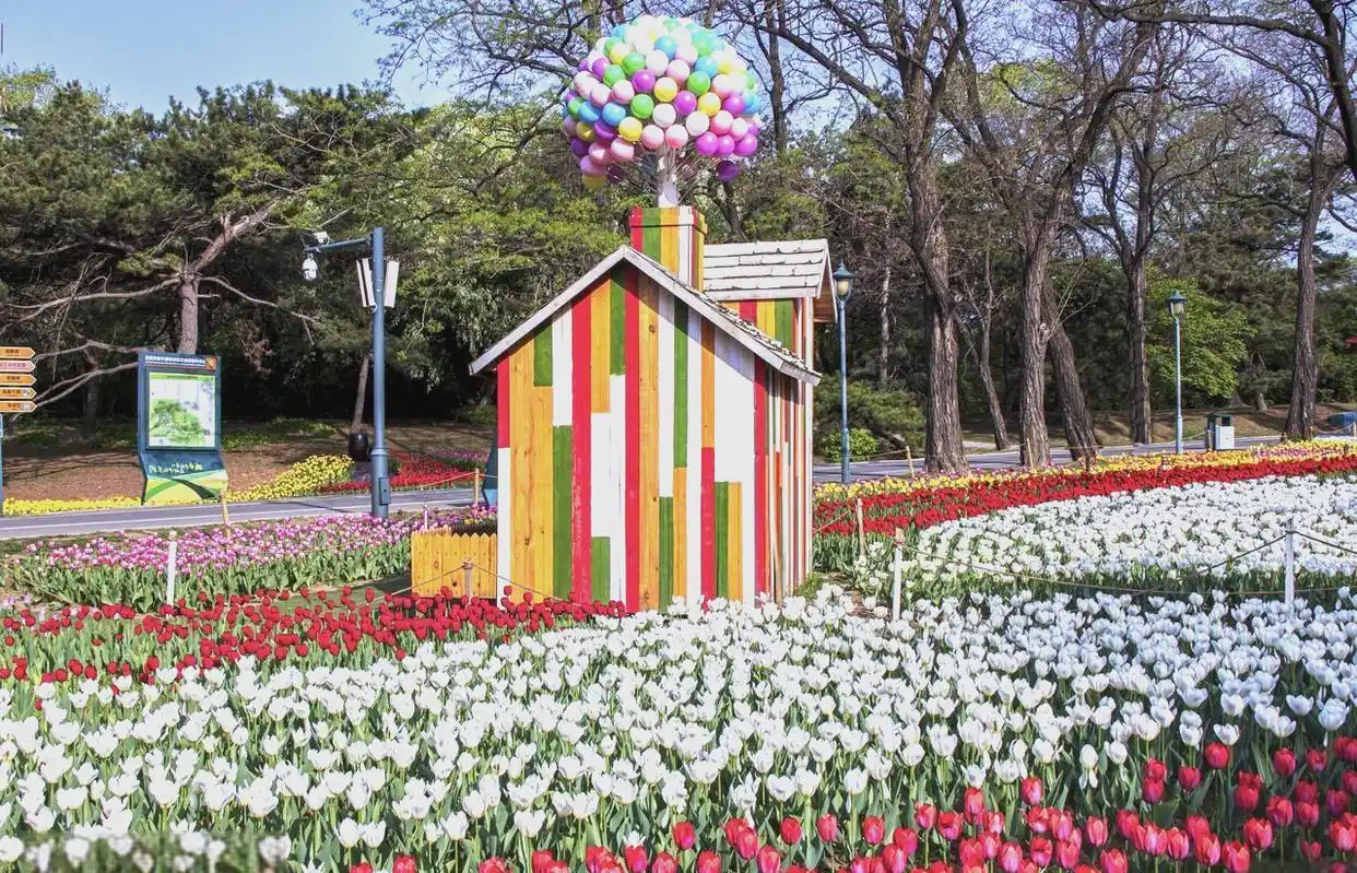长白山景区建筑_长白山四季特色旅游_东北首批5A景区