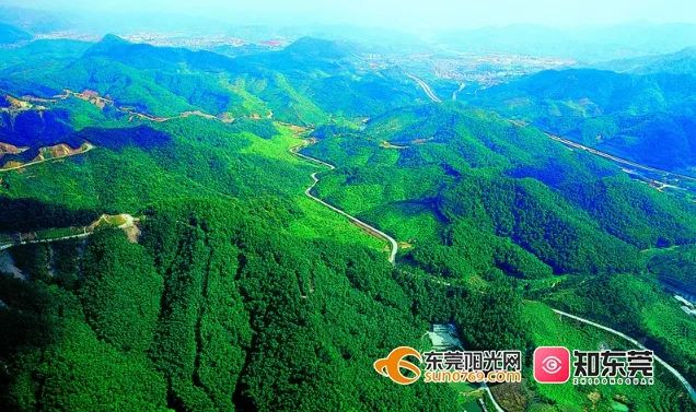 踏青、骑行、拍美照…东莞一日游攻略来了!(图13) 茶山南社明清古村落_东莞旅游哪里最好玩_东莞清明踏青攻略