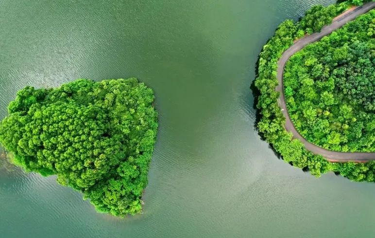 踏青、骑行、拍美照…东莞一日游攻略来了!(图19) 茶山南社明清古村落_东莞清明踏青攻略_东莞旅游哪里最好玩