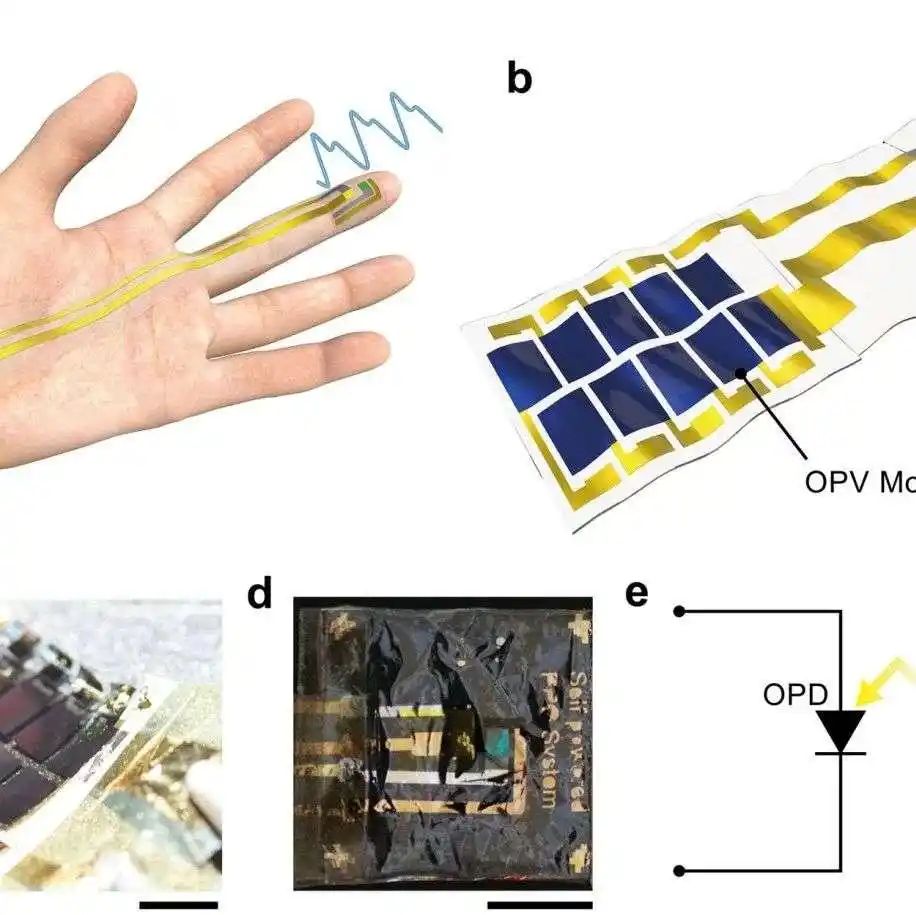 2025全球5大黑科技:神经交互革命正在终结智能手机时代(图2) 全球it数码科技_脑机接口技术革命_智能手机去中介化
