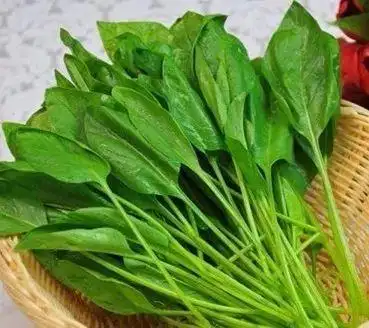 【健康】原来骨头汤、豆浆、海带都不能补钙!最补钙的食物竟是→(图4) 骨头汤补钙误区_豆浆是否高钙_生活中补钙的误区