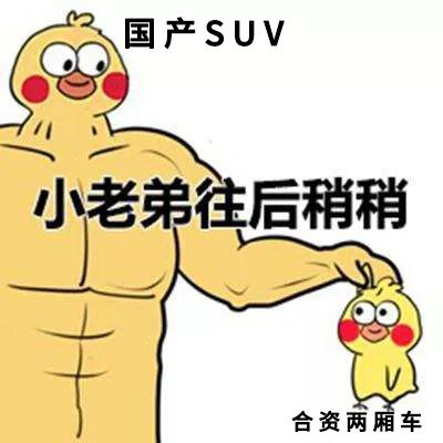 在中国当一个两厢车粉,真是太惨了(图3) 国产SUV崛起对两厢车影响_2015年两厢车市场分析_观致3两厢价格