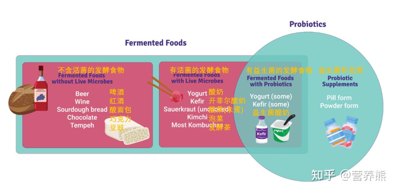哪种酸奶能补充益生菌?你需要知道这4个标准(图1) 益生菌酸奶如何选择_酸奶零食化_益生菌酸奶的注意事项