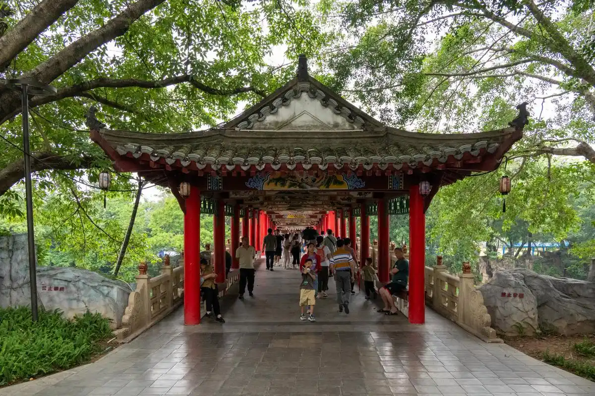 2025年安徽合肥旅游攻略:探索古今交融的江淮明珠包公故里(图6) 2025年安徽合肥旅游攻略_合肥包公祠李鸿章故居游览_合肥旅游文化