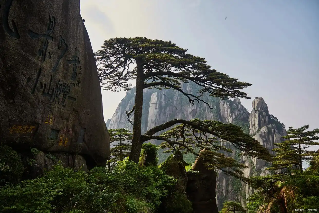 为什么到合肥旅游的吸引力比黄山还要大?(图4) 合肥旅游文化_黄山旅游对比_合肥旅游吸引力