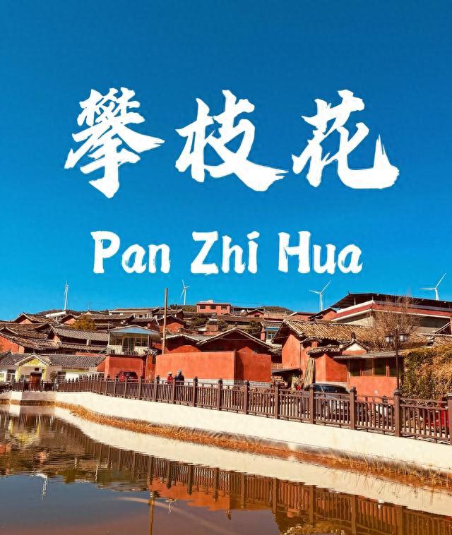 热闹糯米IcSvBP(图1) 攀枝花景点怎样游玩最合理_攀枝花苏铁保护区基因库夜游_攀枝花西佛寺工业遗产灯光秀