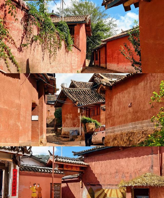 热闹糯米IcSvBP(图4) 攀枝花苏铁保护区基因库夜游_攀枝花景点怎样游玩最合理_攀枝花西佛寺工业遗产灯光秀