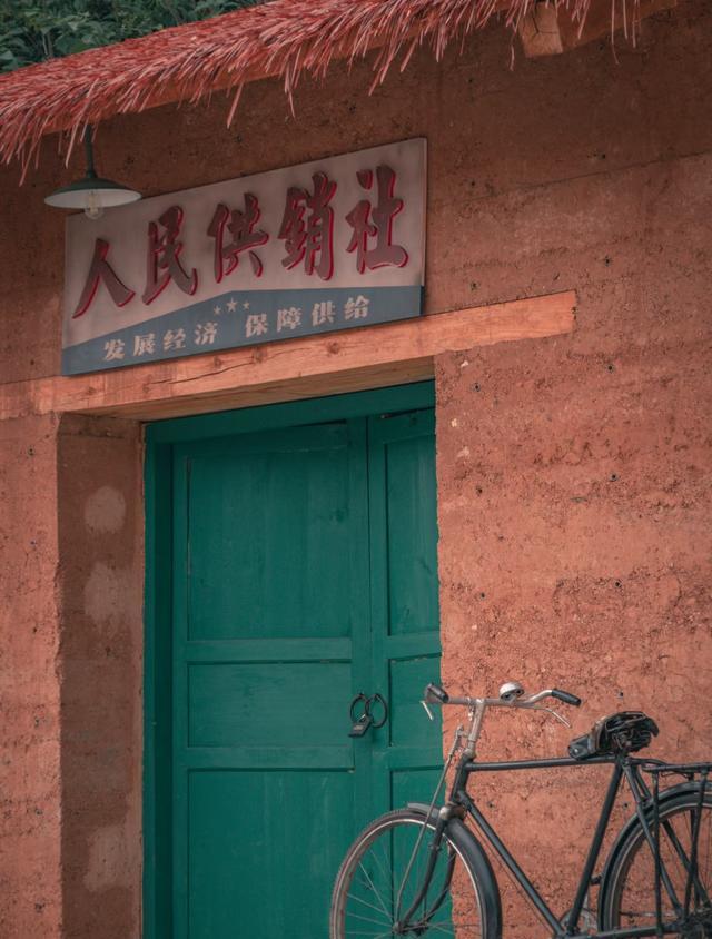 热闹糯米IcSvBP(图8) 攀枝花景点怎样游玩最合理_攀枝花苏铁保护区基因库夜游_攀枝花西佛寺工业遗产灯光秀