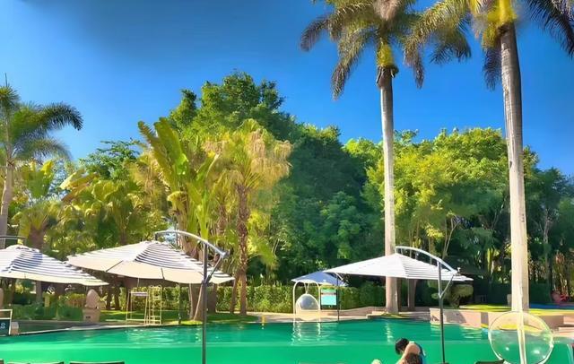 热闹糯米IcSvBP(图9) 攀枝花西佛寺工业遗产灯光秀_攀枝花苏铁保护区基因库夜游_攀枝花景点怎样游玩最合理